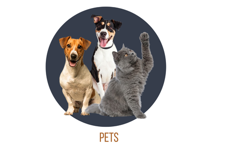 Pets