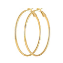 Brincos de argola grandes