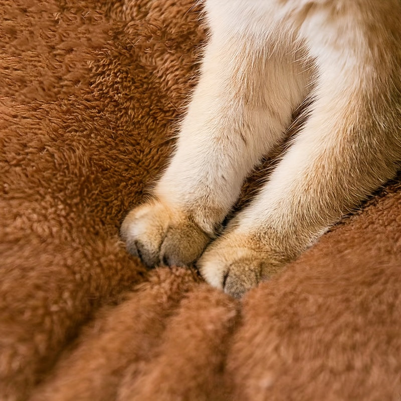Casinha marrom para cachorro e gato, 2 em 1